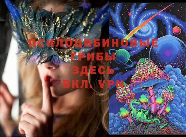 2c-b Дмитровск