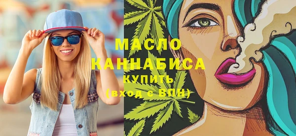 крисы Елабуга