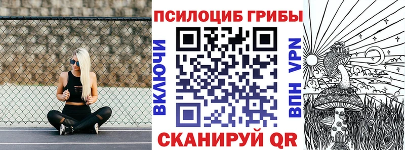 Купить где  Электроугли  Псилоцибиновые грибы мицелий 
